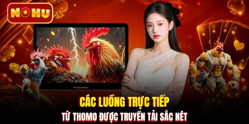 Các luồng trực tiếp từ Thomo được truyền tải sắc nét