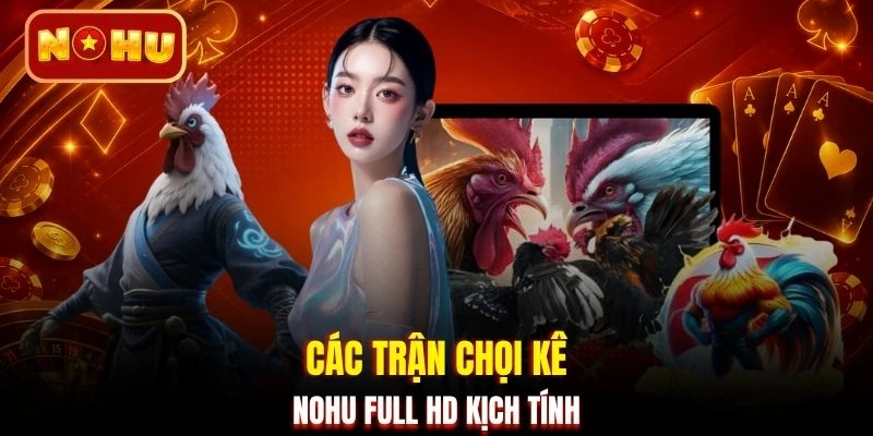 Các trận chọi kê NOHU full HD kịch tính