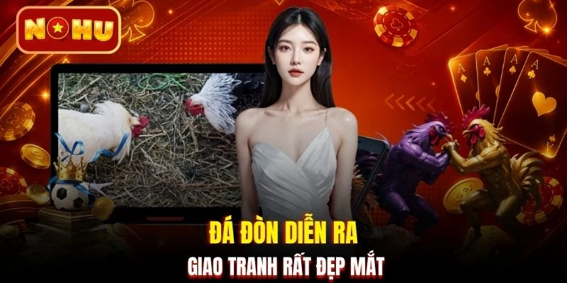 Đá đòn diễn ra giao tranh rất đẹp mắt