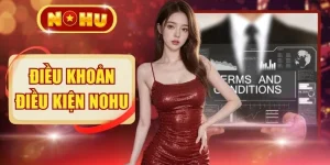 Điều Khoản Điều Kiện NOHU - TOP 3 Phạm Vi Áp Dụng Phổ Biến