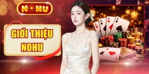 Giới Thiệu NOHU - 4 Chứng Chỉ Khẳng Định Uy Tín Thương Hiệu