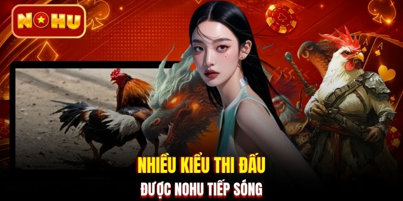 Nhiều kiểu thi đấu được NOHU tiếp sóng