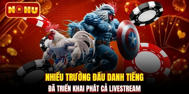 Nhiều trường đấu danh tiếng đã triển khai phát cả livestream