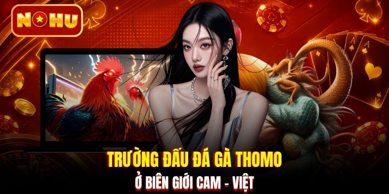 Trường đấu đá gà Thomo ở biên giới Cam - Việt