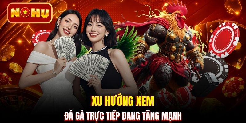 Xu hướng xem đá gà trực tiếp đang tăng mạnh